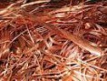 /album/galeria-de-fotos%3a-servi%c3%a7os/cobre-mel-jpg1/